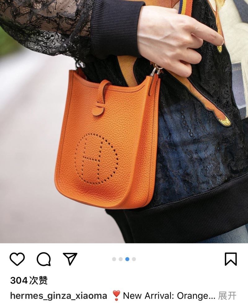 Hermes Evelyn Bags